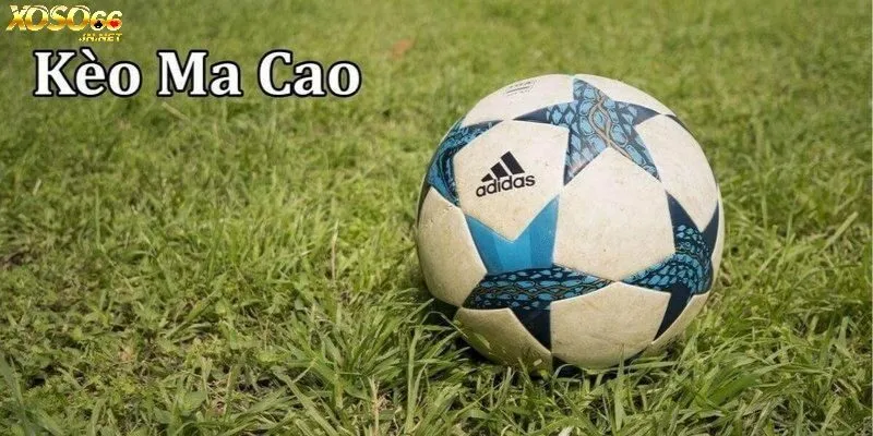 Kèo Ma Cao được nhiều người chơi yêu thích
